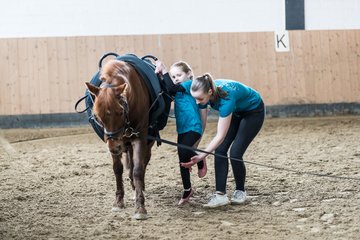 Bild 626 - Voltigierturnier